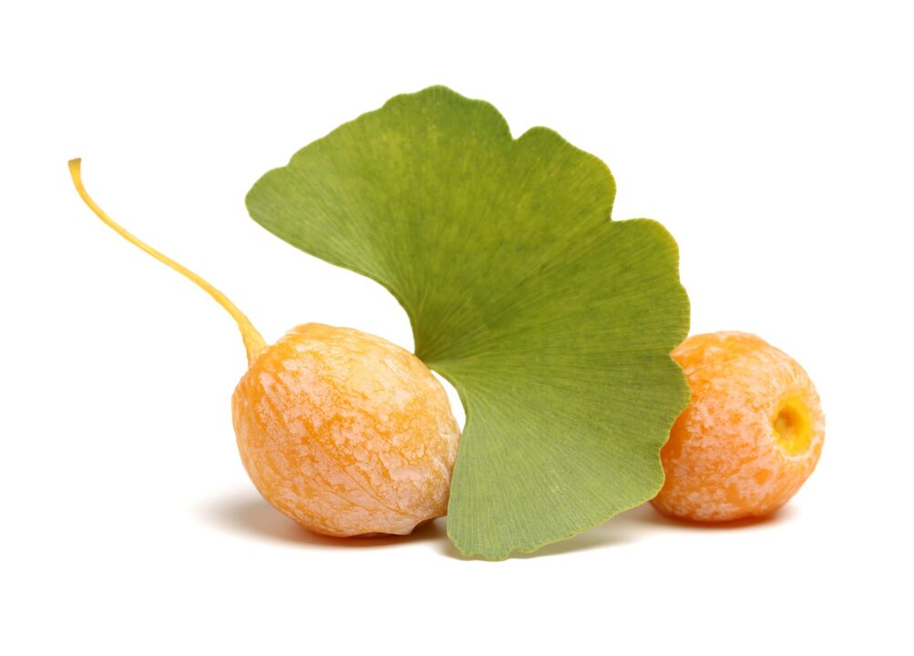 Ginkgo Biloba a Erectil-ben